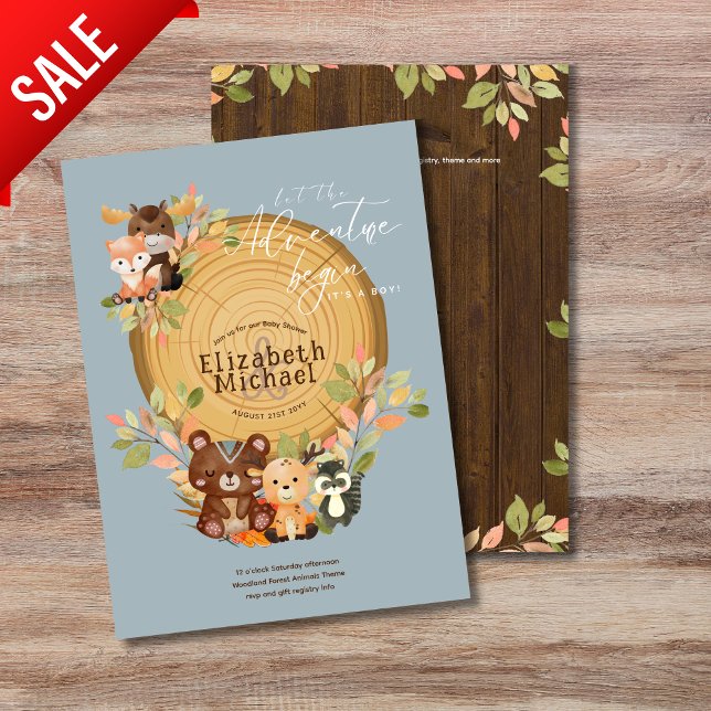 Primeiro aniversario de Chá de Bebê de Animais da  (Criador carregado)