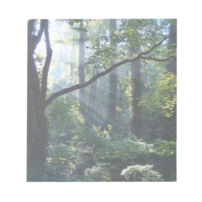 Primeiro Bloco de Notas Claro (Frente)