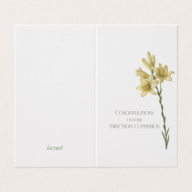 Primeiro Cartão de Comunicação com Imagem de Lily  (Exterior Desdobrado)