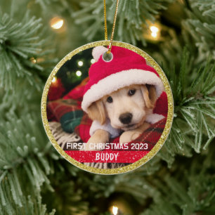 Primeiro Enfeite de Foto de Natal de Cachorrinho L