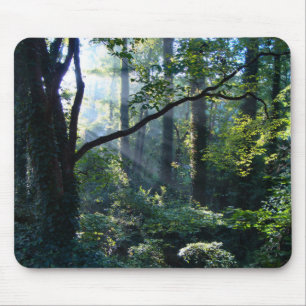 Primeiro Mousepad Leve