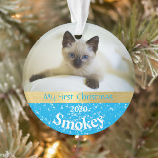 Primeiro Ornamento de Fotos de Natal de Kitten