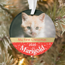 Primeiro Ornamento de Fotos de Natal de Kitten