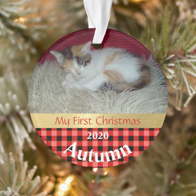 Primeiro Ornamento de Fotos de Natal de Kitten (Árvore)