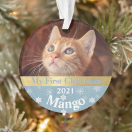 Primeiro Ornamento Fotográfico de Natal de Kitten