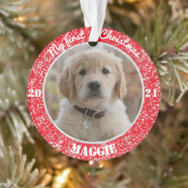 Primeiro Ornamento Fotográfico de Natal de Puppy