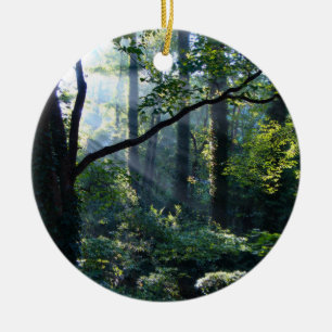 Primeiro Ornamento Leve