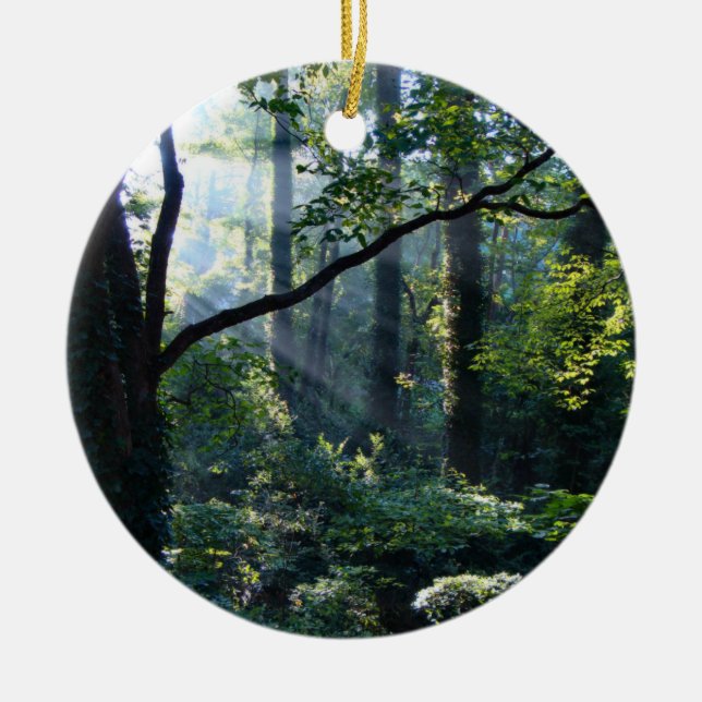 Primeiro Ornamento Leve (Frente)