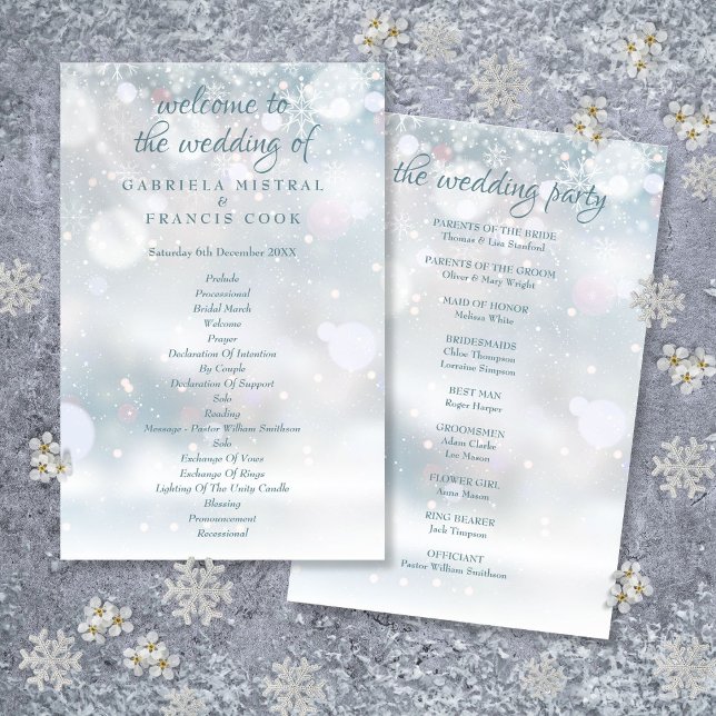 Primeiro Programa de Casamento no inverno de Floco (First Snowflakes Winter Wedding Program)
