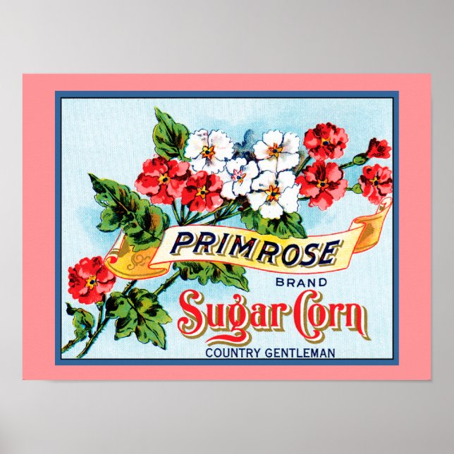 Primrose Flowers Vintage Crate Label Art Poster (Frente)