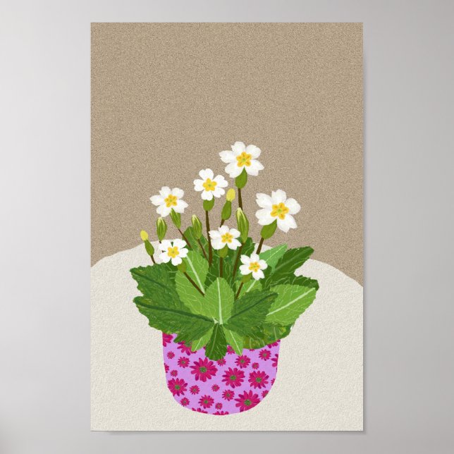 Primrose Poster (Frente)