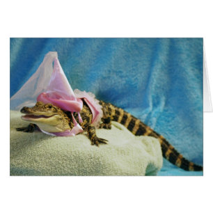 Princesa Moeda de um centavo Cartão