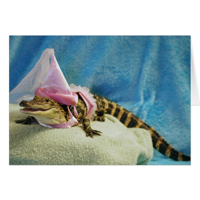 Princesa Moeda de um centavo Cartão (Frente Horizontal)