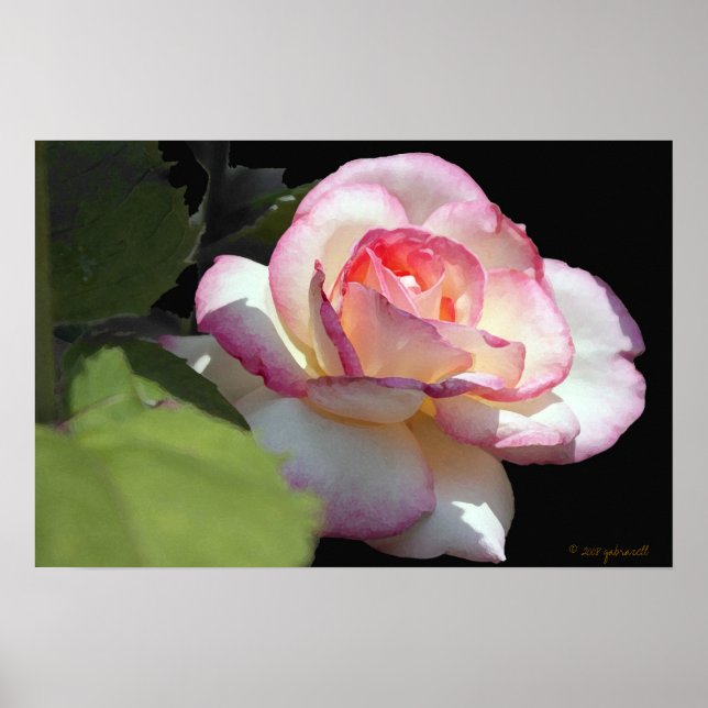 Princesa Rosa Poster (Frente)