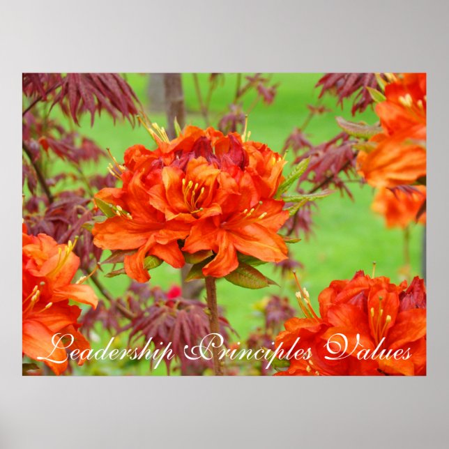 Princípios de Liderança Valores Artes impressões (Frente)