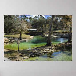 Pristine Primavera na Impressão de inverno