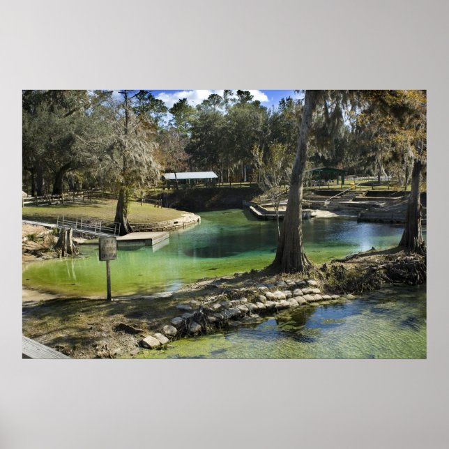 Pristine Primavera na Impressão de inverno (Frente)