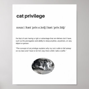 Privilégio de gato engraçado selfie poster matte
