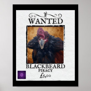 Procurado Blackbeard Frango Poster Pirata Divertid