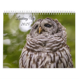 Procurando o Calendário 2025