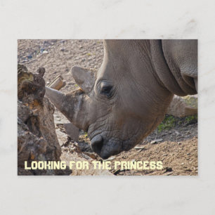 Procurando o Cartão Postal da Princesa