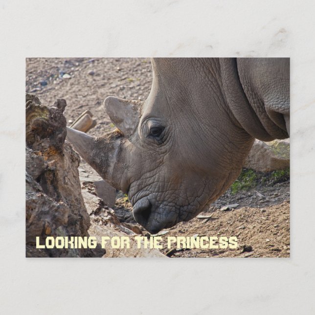 Procurando o Cartão Postal da Princesa (Frente)