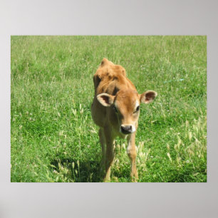 Proeminente em seu impressão da foto do campo