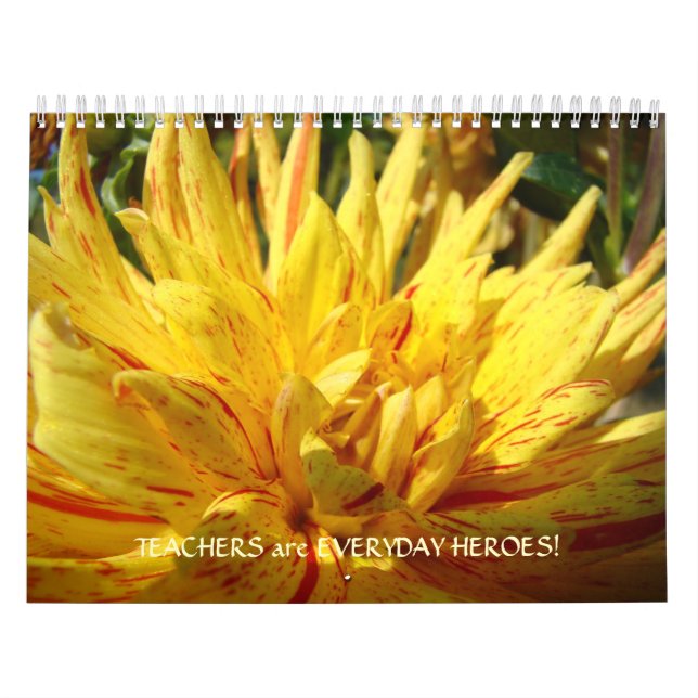 PROFESSORES OFERECEM CALENDÁRIO Héroes Dahlias do  (Capa)