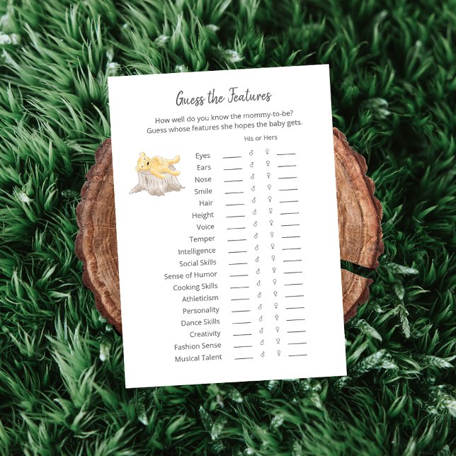 Programa Adivinha Os Recursos Do Jogo Teddy Bear Card (Criador carregado)