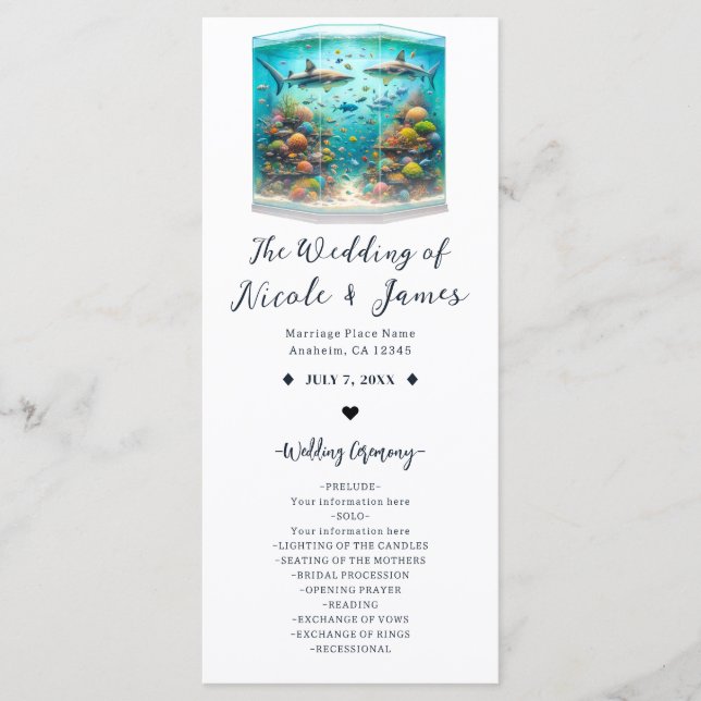 Programa Aquário de Tubarões e Peixes (Frente)