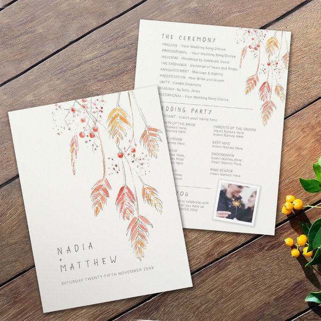 Programa Bagas de erva, esboço de aquarela (Criador carregado)