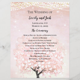 Programa Blush Pink Fairytale Weding