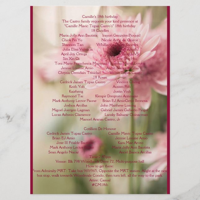 PROGRAMA CAMILLE 18º (Frente)