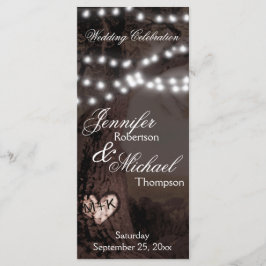 Programa Casamento | Árvore com luzes de festa