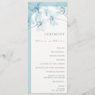 Programa Casamento com Orquídea Azul Suave