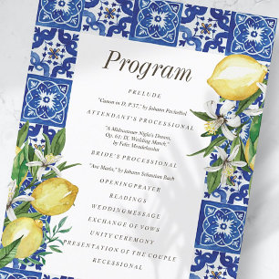Programa Casamento de Azul-Mediterrâneo Moderno com Folhage