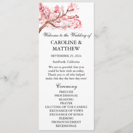 Programa Casamento de Cor Flórida Rosa-Flórida de Cereja