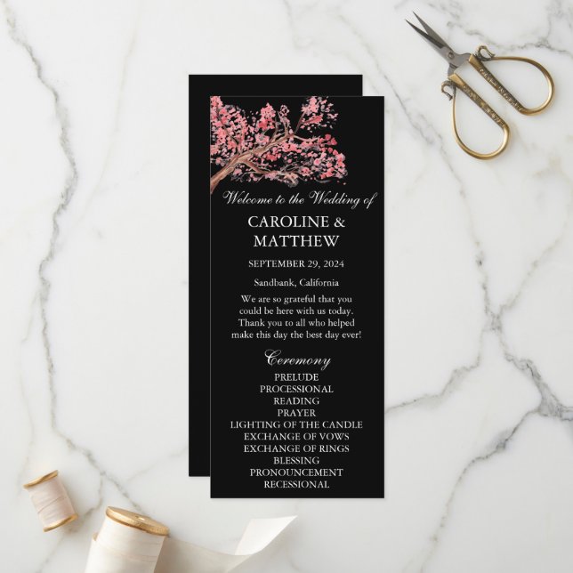 Programa Casamento de Cor Flórida Rosa-Flórida de Cereja (Frente/Verso In Situ)