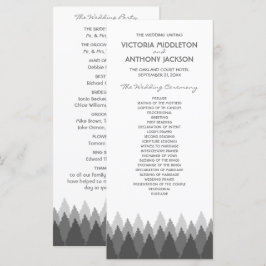 Programa Casamento de Florestas de cinza