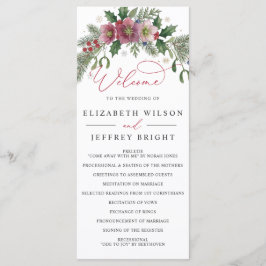 Programa Casamento de Natal de Inverno Floral Botânico