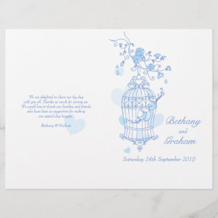 Programa Casamento de Pássaros Azuis