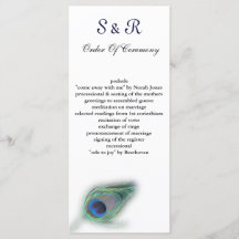 programa Casamento de Pavão