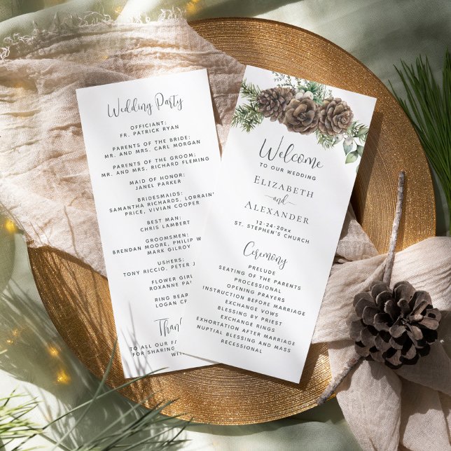 Programa Casamento de Pine Cone do Winter Greenery (Criador carregado)