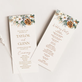 Programa Casamento de Pinho-Árvore-Cone das Flores de Inver