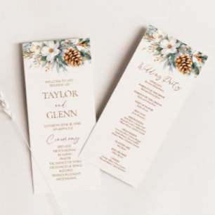 Programa Casamento de Pinho-Árvore-Cone das Flores de Inver