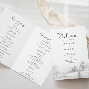 Programa Casamento Dobrado da Floresta da Montanha de inver