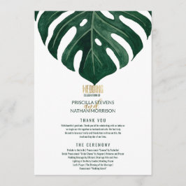 Programa Casamento Dourado de folha de queijo suíço tropica