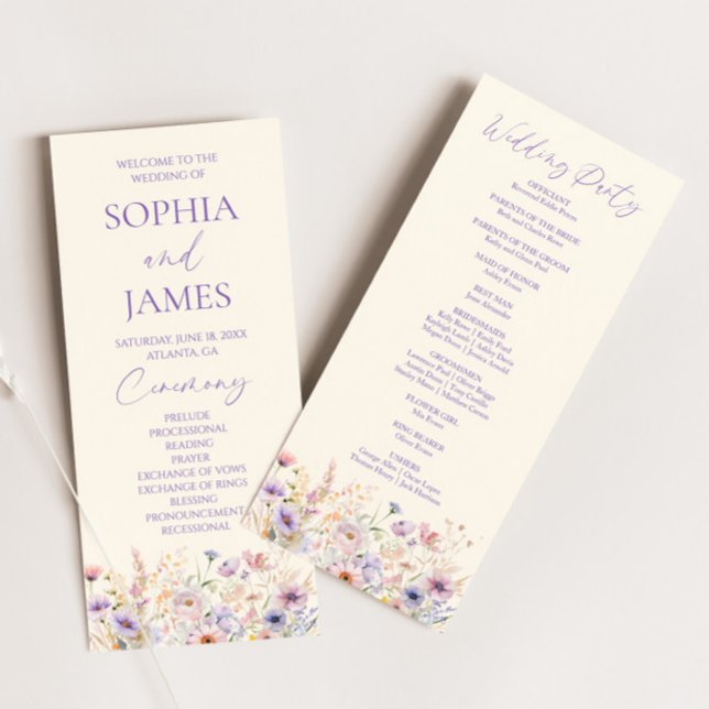 Programa Casamento Elegante em Campo de Flores Silvestres R (Criador carregado)