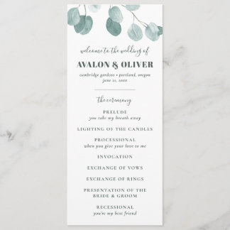 Programa Casamento Eucalyptus Dólar