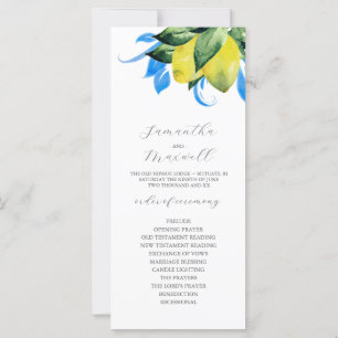 Programa Casamento Folhas de Limões Botânicos